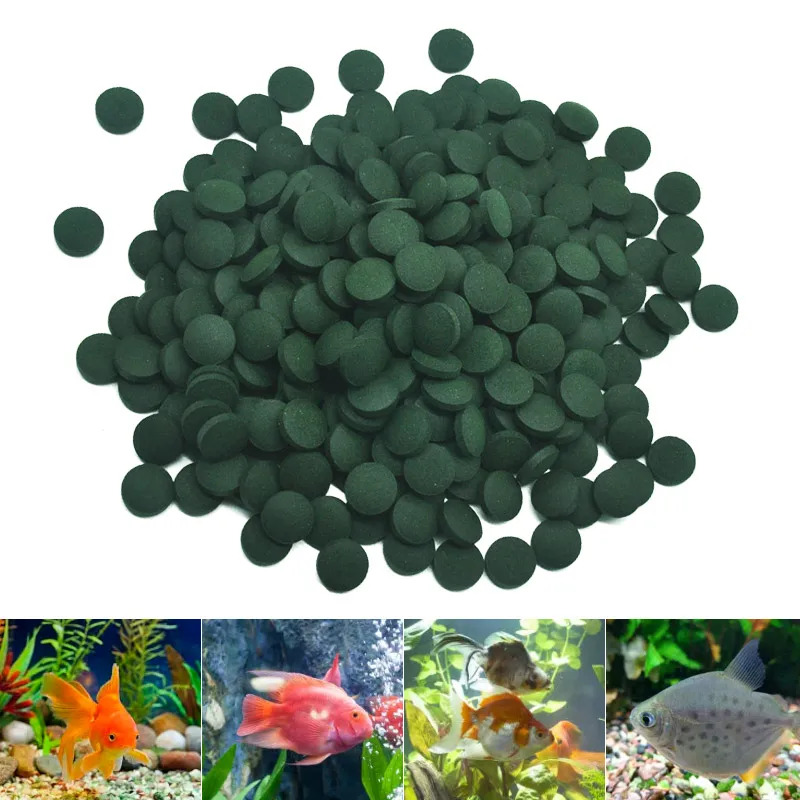 50-1000pcs High Purity Spiruli - đánh giá và giá Spirulina Tablet Organic