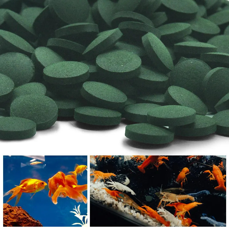 50-300Pcs High Purity Spirulin - đánh giá và giá Spirulina Tablet Organic