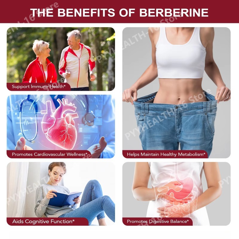 Berberine Capsules 1200mg Per  - đánh giá và giá Berberine Hcl Capsule